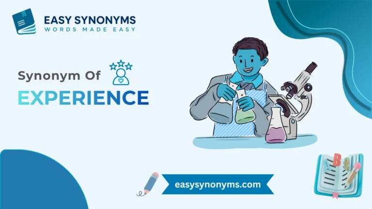 synonyms for experience